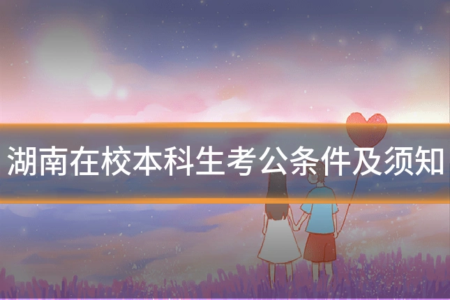 湖南在校本科生考公条件及须知