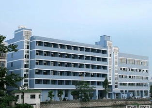 专业