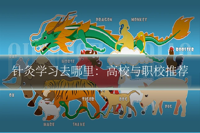 针灸学习去哪里:高校与职校推荐