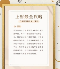 双学位