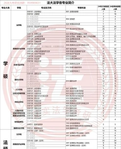 法国尼斯
