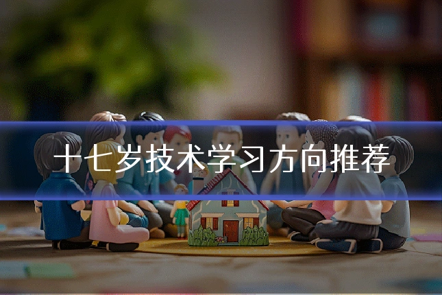 十七岁技术学习方向推荐