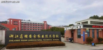 学校