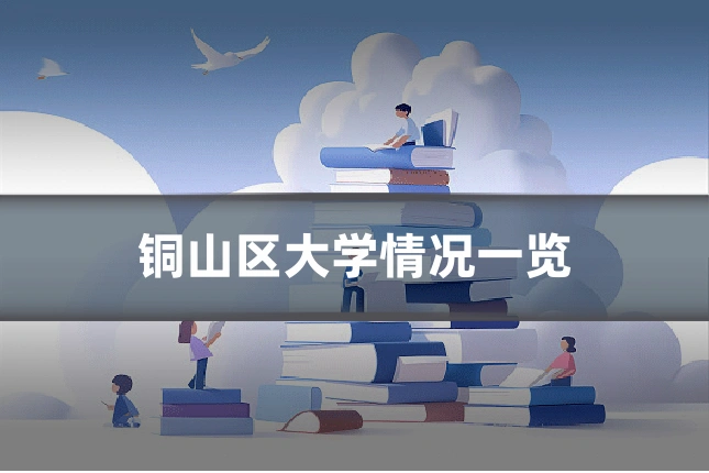 铜山区大学情况一览