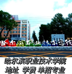 专业