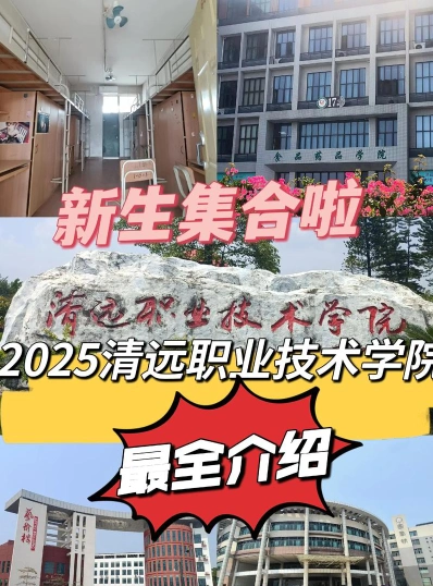 专业