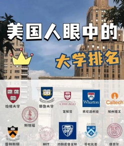 大学