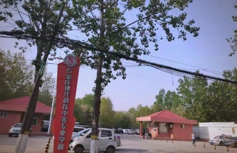 专业