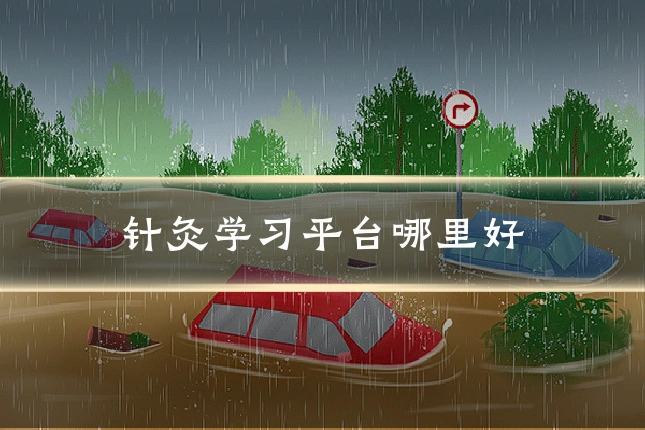 针灸学习平台哪里好