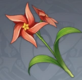 原神灯草