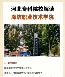提供