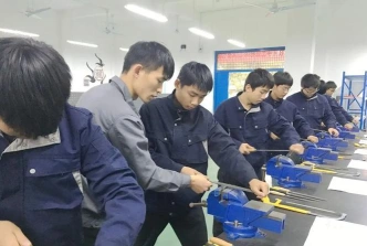 专业