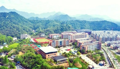 学部