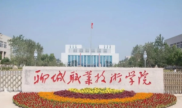 聊城