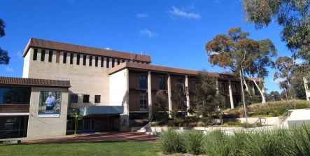 大学