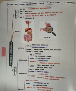 考研