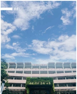 学校