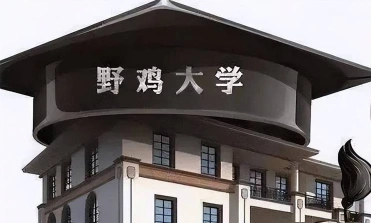 野鸡大学