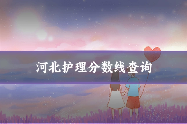 河北护理分数线查询