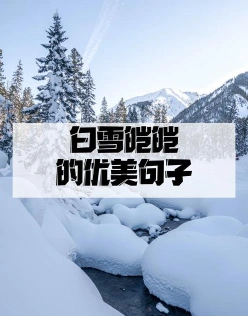 雪花