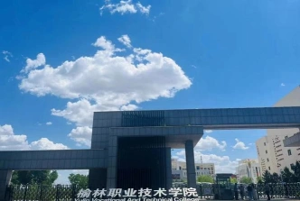 专业