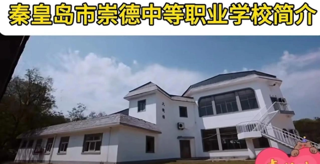 专业
