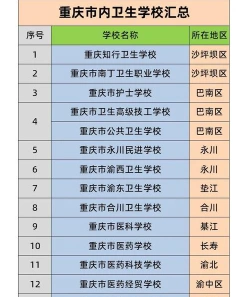 本科教育