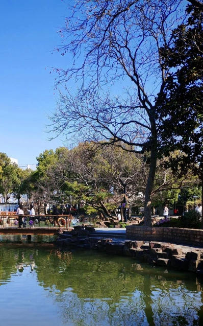 苏州大学
