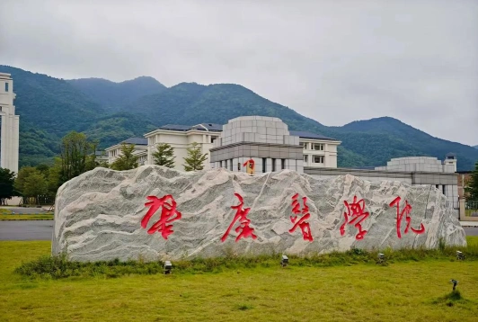 类型
