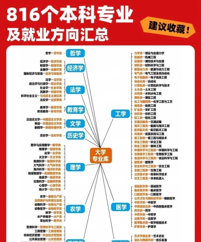 专业