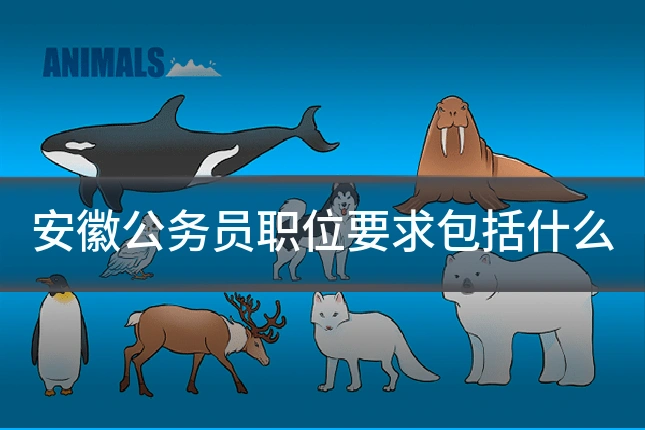 安徽公务员职位要求包括什么