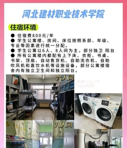特色