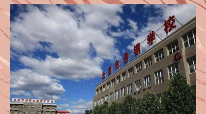 专业