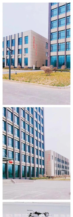 能力