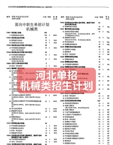 专业