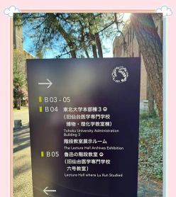 学部