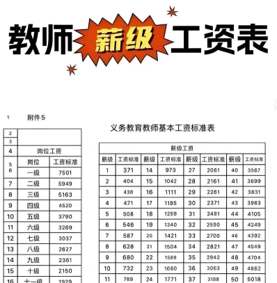 新阳光教育