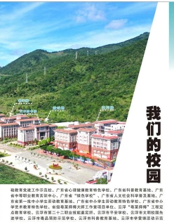 专业