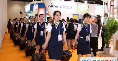 能力