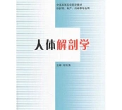 课程