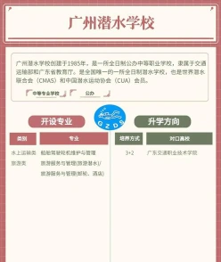 专业
