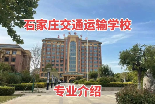 专业