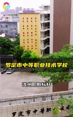 能力