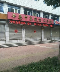 动物