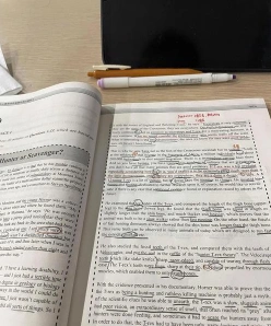 同义替换
