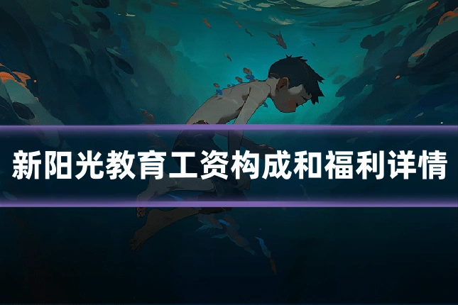 新阳光教育工资构成和福利详情