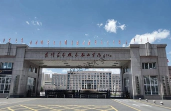 类型