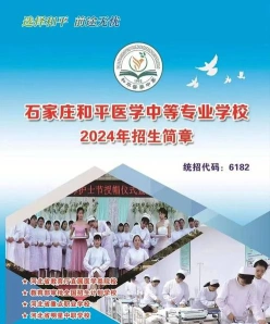 实训