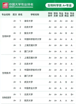 专业领域