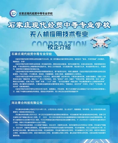 能力